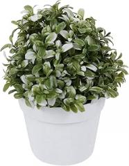 Milisten Realistic Simulated Bonsai Fake Green Plant Desktop Decor Small Potted Artificial Plant for Home Office Indoor Decoration