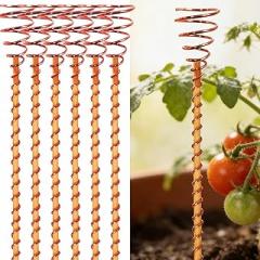 6pcs Electroculture Plant Stakes, 13'' Available Copper Coil Wire Antennas Garden Stakes, Tensor Rings Kit, Copper Rods Electronic Planting for Growing Vegetable Garden Plants Support