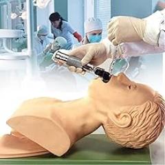 Electronic Tracheal Training Model W/Electronic Alarm, Emergency Tracheal Training Model for Teaching Demonstration Model