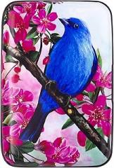 Blue Bird Armored Credit Card Wallet and Cash Holder
