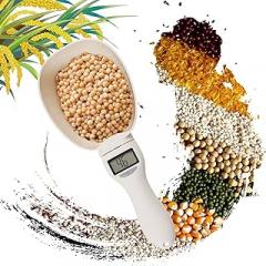 Electronic Measuring Spoon with Conversion, Digital Measuring Spoon, 800g / 0.1g High Precision with LCD Screen, Household Weighing Scoop for Kitchen and Dog Cat Food (1pcs)