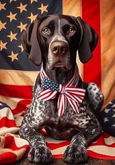 German Shorthair Pointer - Best of Breed DCR Patriotic I Garden Flag 12