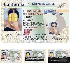 Credit Card Sticker Skin - 4 Styles Funny Debit, Credit Card Sticker, Key, Debit, Credit, Slim, Waterproof, Anti-Wrinkling Removable Vinyl Debit Skin Cover Credit Card Decals (Driving License)